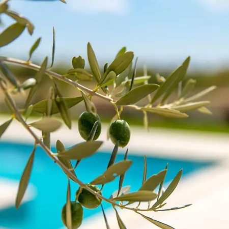 Вилла Gorgeous Santa Margherita With Pool And Saun Воднян
